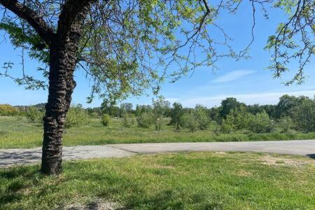Country Charmer Single Story Cottage Pet Friendly Loomis Exterior foto